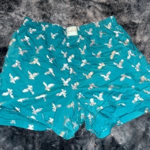 Teal boxer- American Eagle